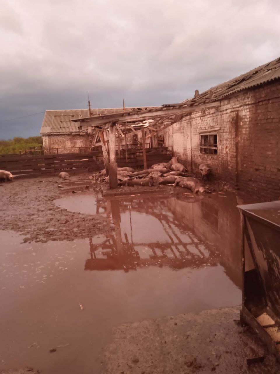 Фото: t.me/Zhyvytskyy Росіяни двічі за день обстріляли Сумську область: загинув мирний житель, зруйновано ферму