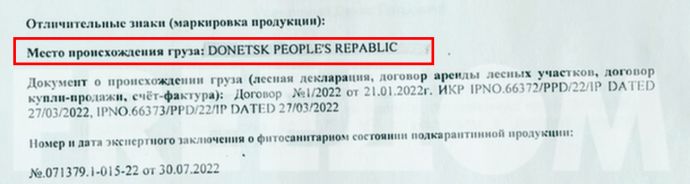 Фото: FREEДОМ