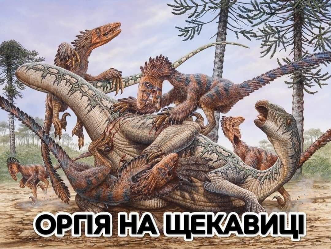 Фото из соцсетей