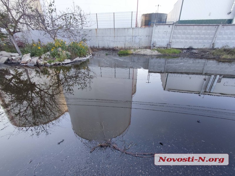 У Миколаєві дрони-камікадзе пошкодили цистерни з олією: вона тече вулицями — фото