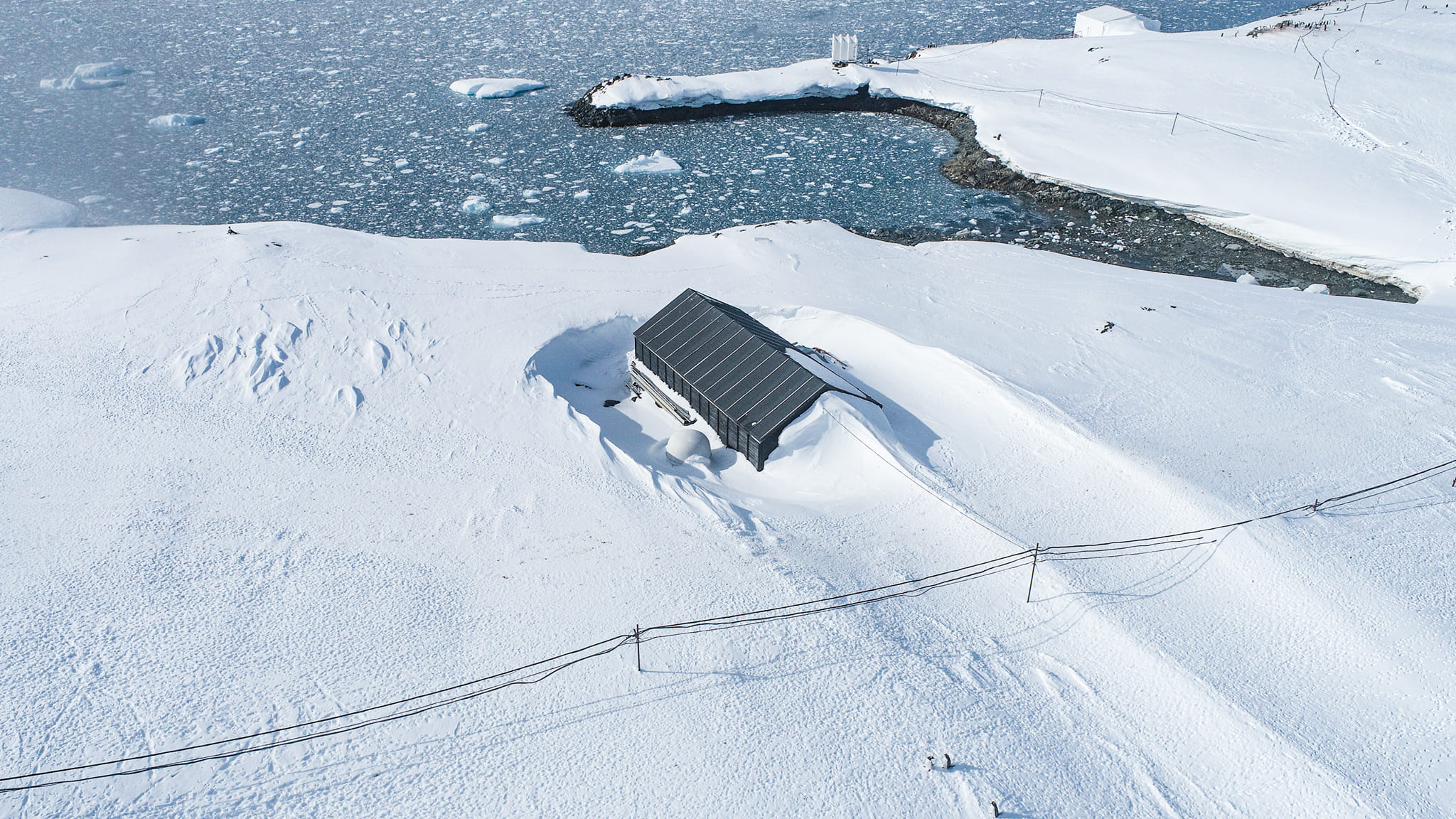 На українській станції в Антарктиді намело стільки снігу, що пінгвіни ходять дахом: фото