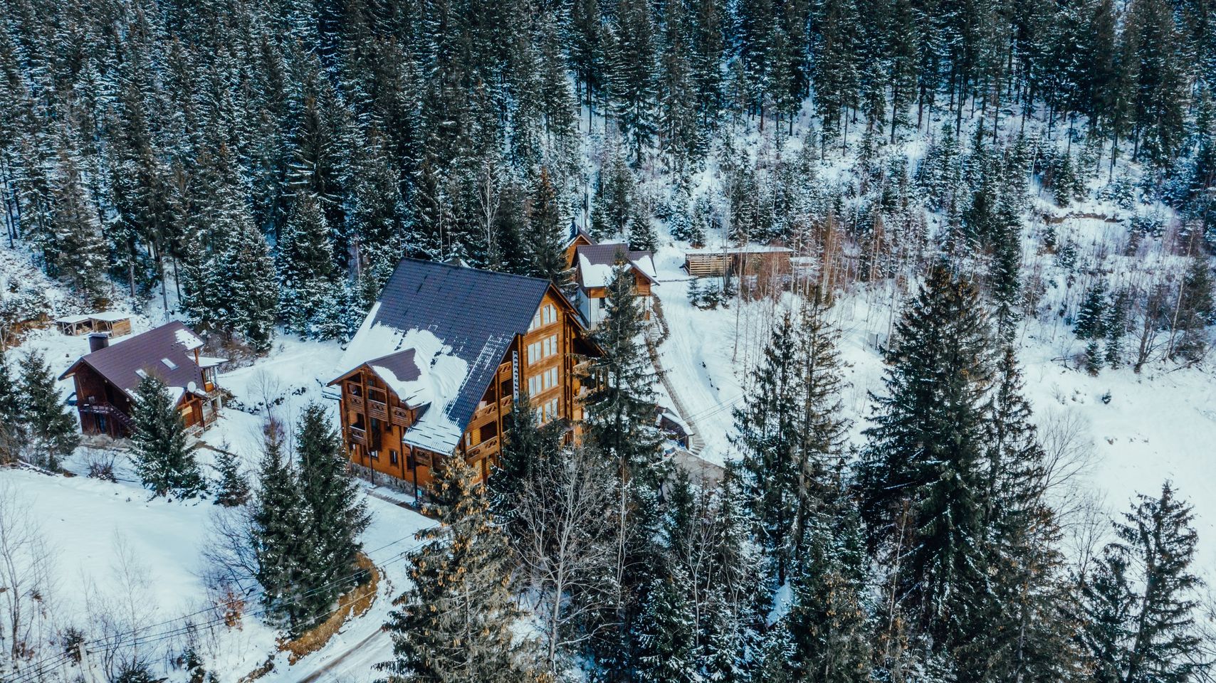 Фото: Facebook Карпатские источники