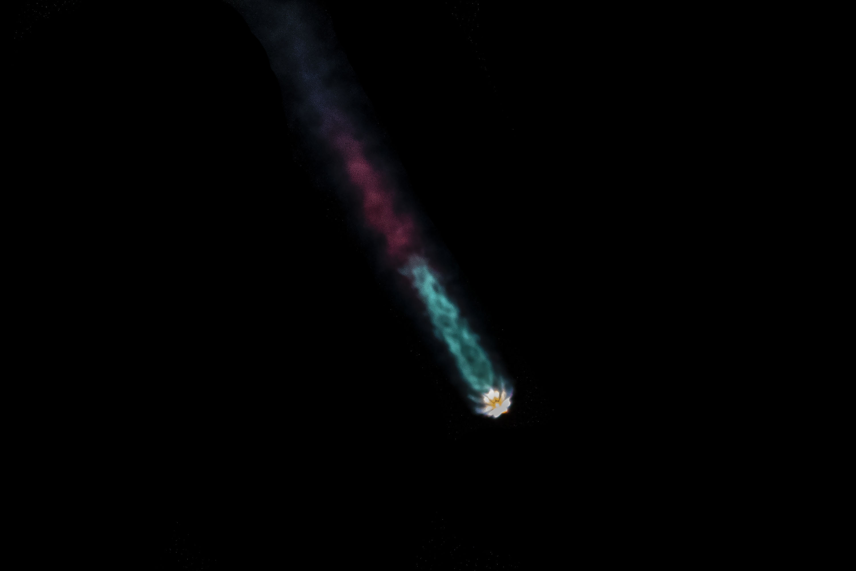 Фото: SpaceX