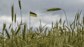 Запрет Еврокомиссии по аграрному экспорту из Украины заработает с 2 мая — RMF24