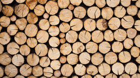 В Украине появился биржевой индекс древесины