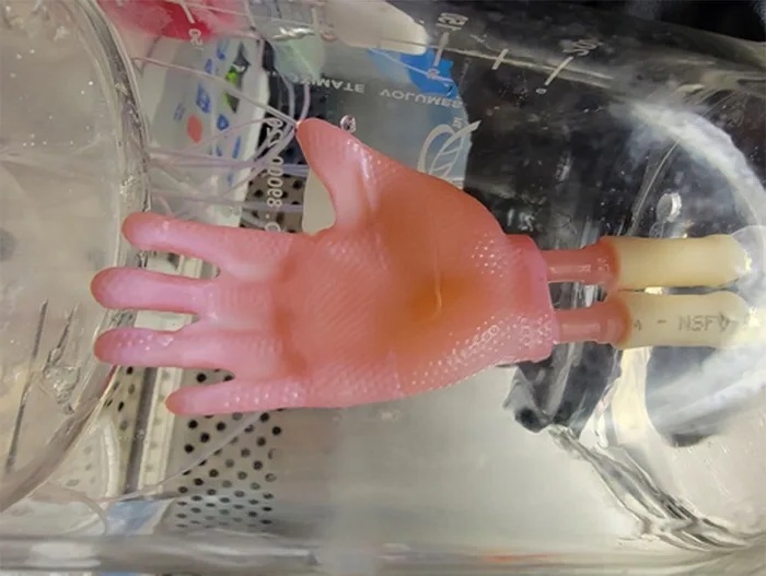 Ученые из США напечатали на биопринтере бесшовную кожу для трансплантаций – фото