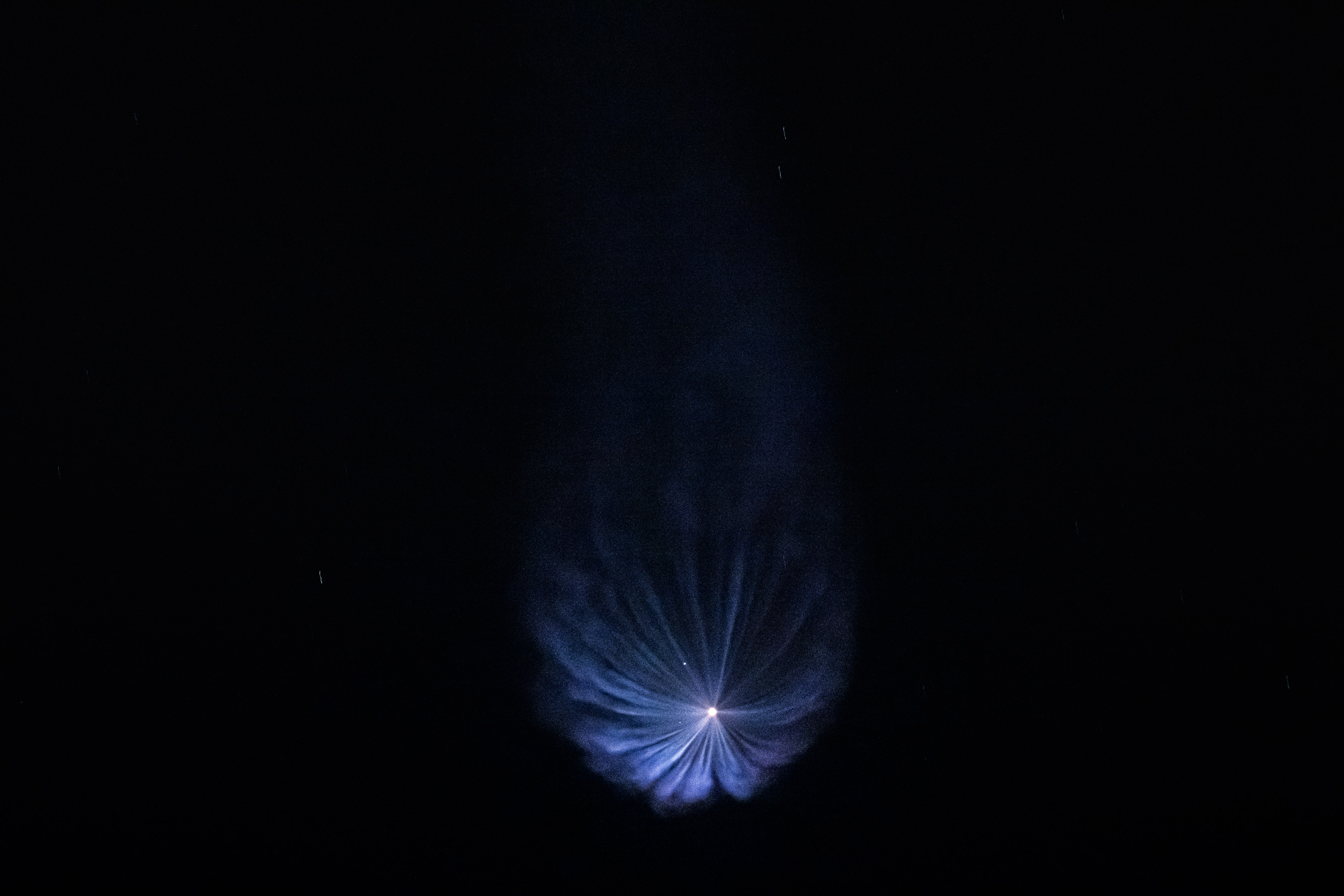Фото: SpaceX