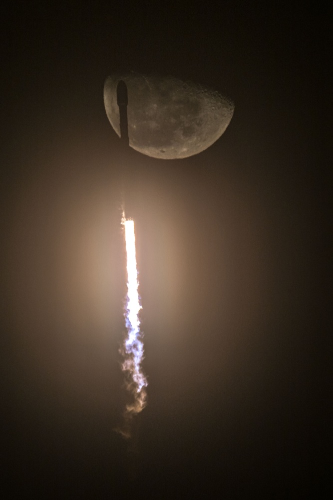 Фото: SpaceX
