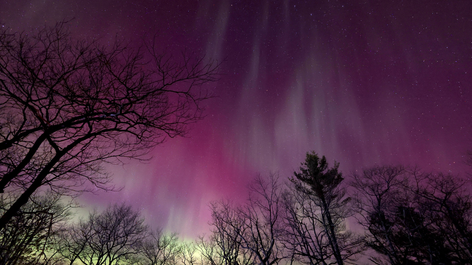 Фото: James Reynolds/Ashville Pictures