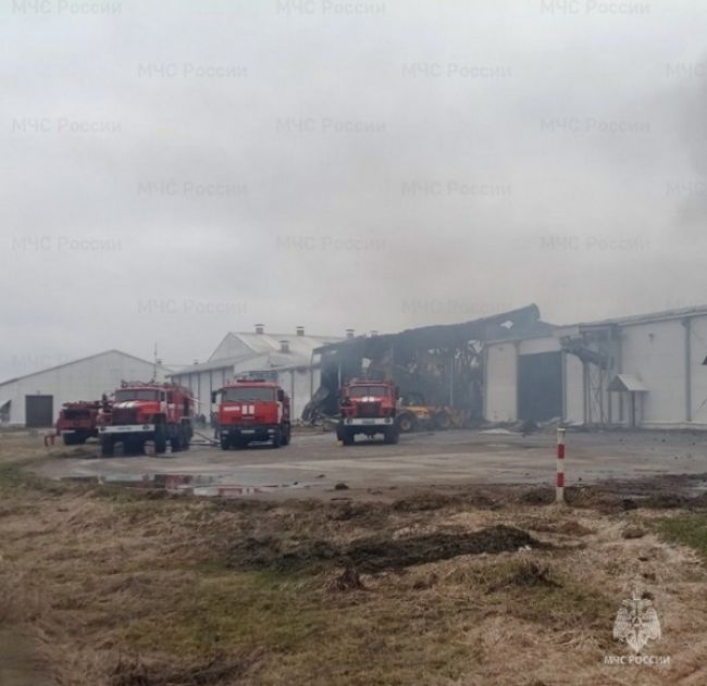 Под Брянском масштабный пожар на птицефабрике, погиб один человек – фото