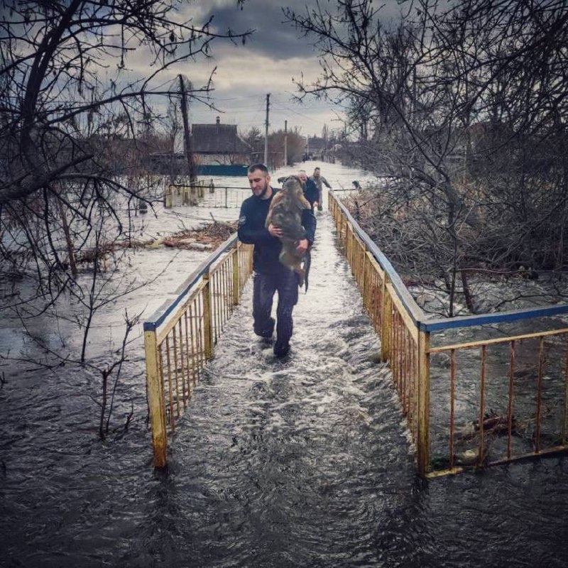 Фото: Патрульная полиция Краматорска и Славянска Фото: Патрульная полиция Краматорска и Славянска
