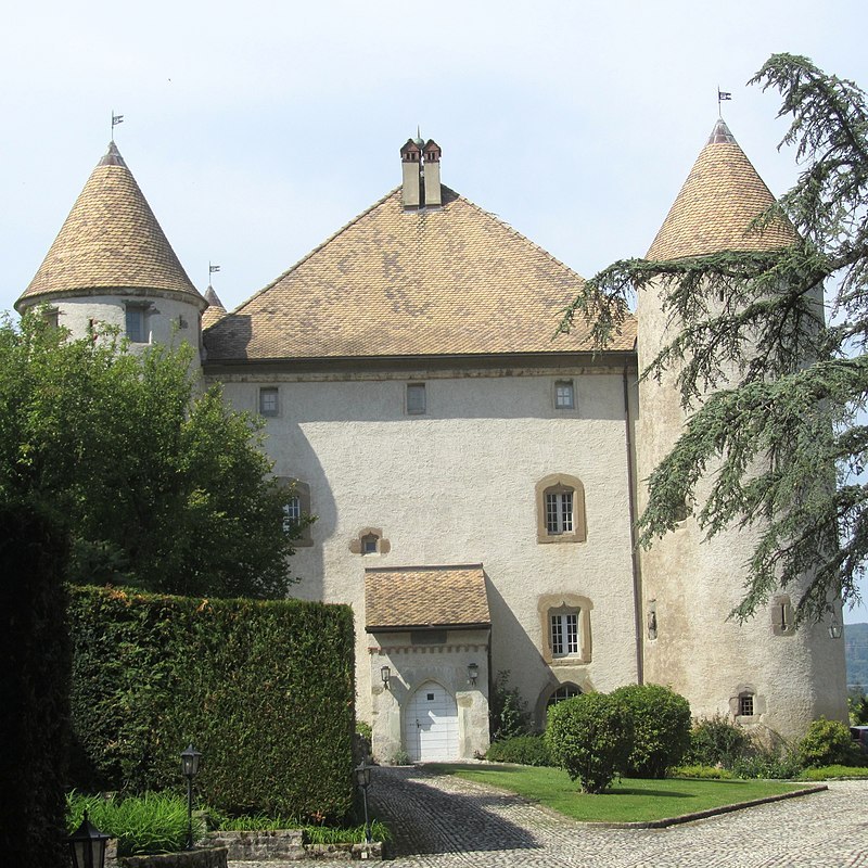 Château de Buffavent (Фото: Вікіпедія)