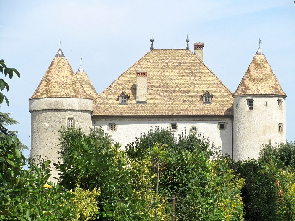 У семьи Коломойского нашли средневековый замок возле Женевы – фото