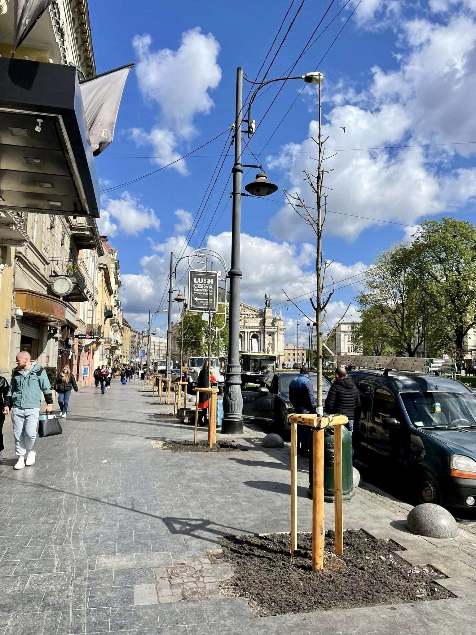 Фото: Александра Сладкова Фото: Олександра Сладкова