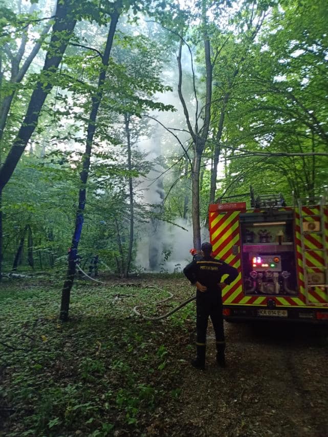 Фото: Национальный природный парк Голосеевский/Facebook Фото: Національний природний парк Голосіївський/Facebook