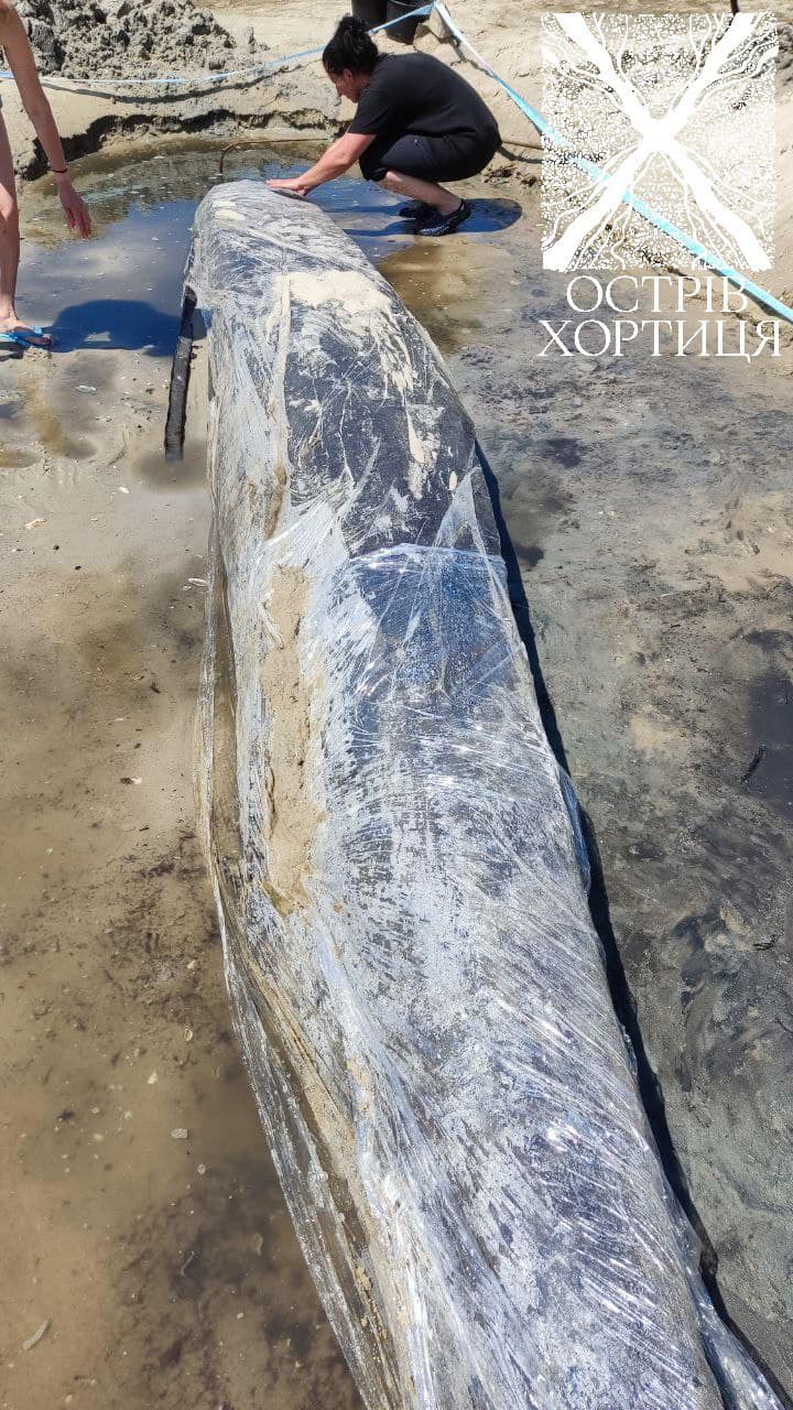 Фото: Национальный заповедник 'Хортица' Фото: Национальный заповедник 'Хортица'