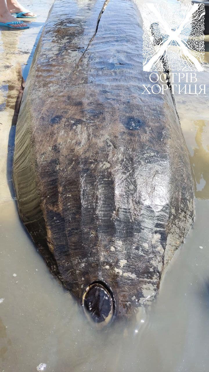 Фото: Национальный заповедник 'Хортица' Фото: Национальный заповедник 'Хортица'