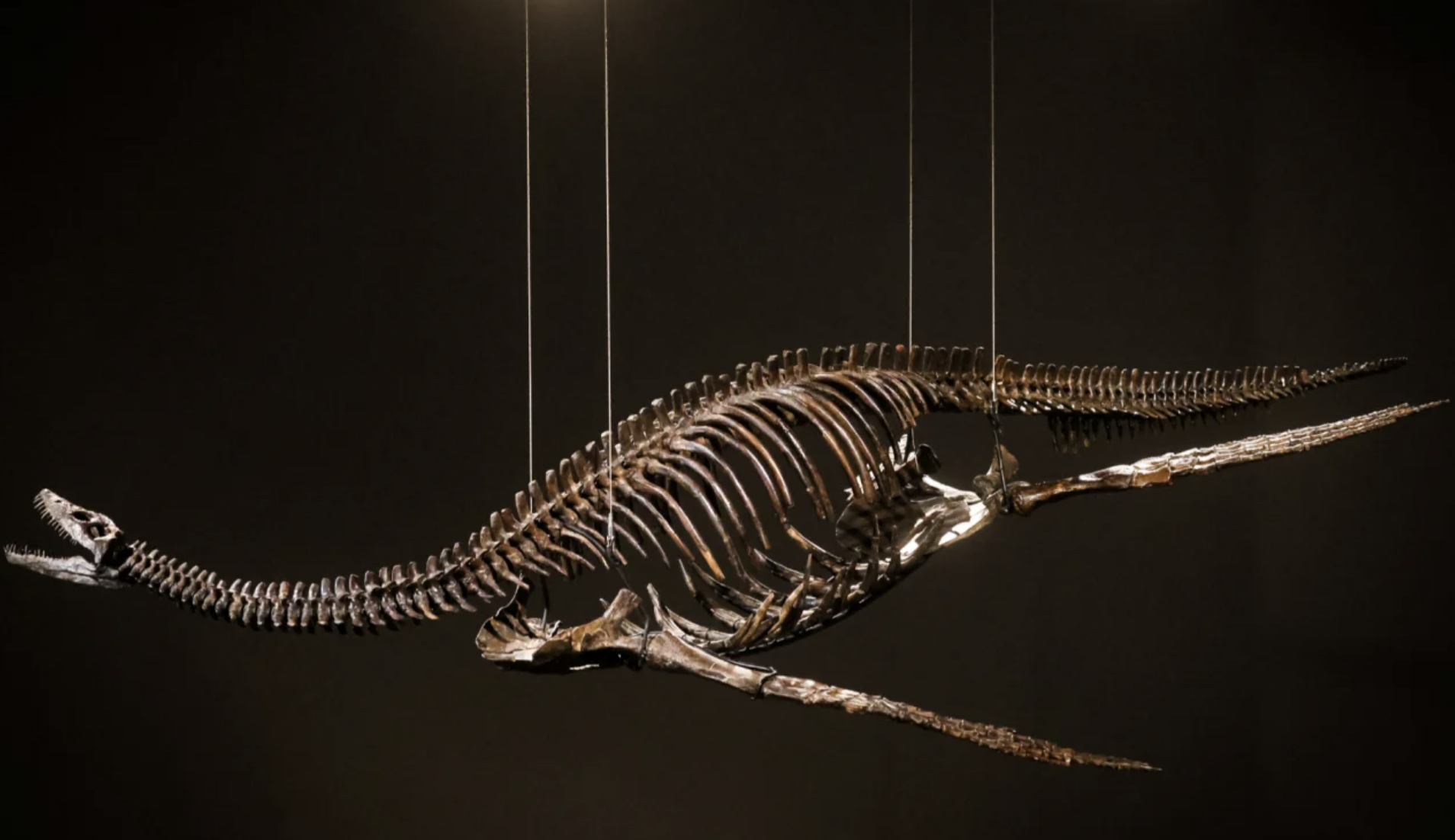 Фото: Sotheby's Фото: Sotheby's