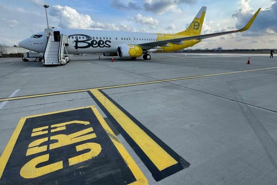 Bees Airline