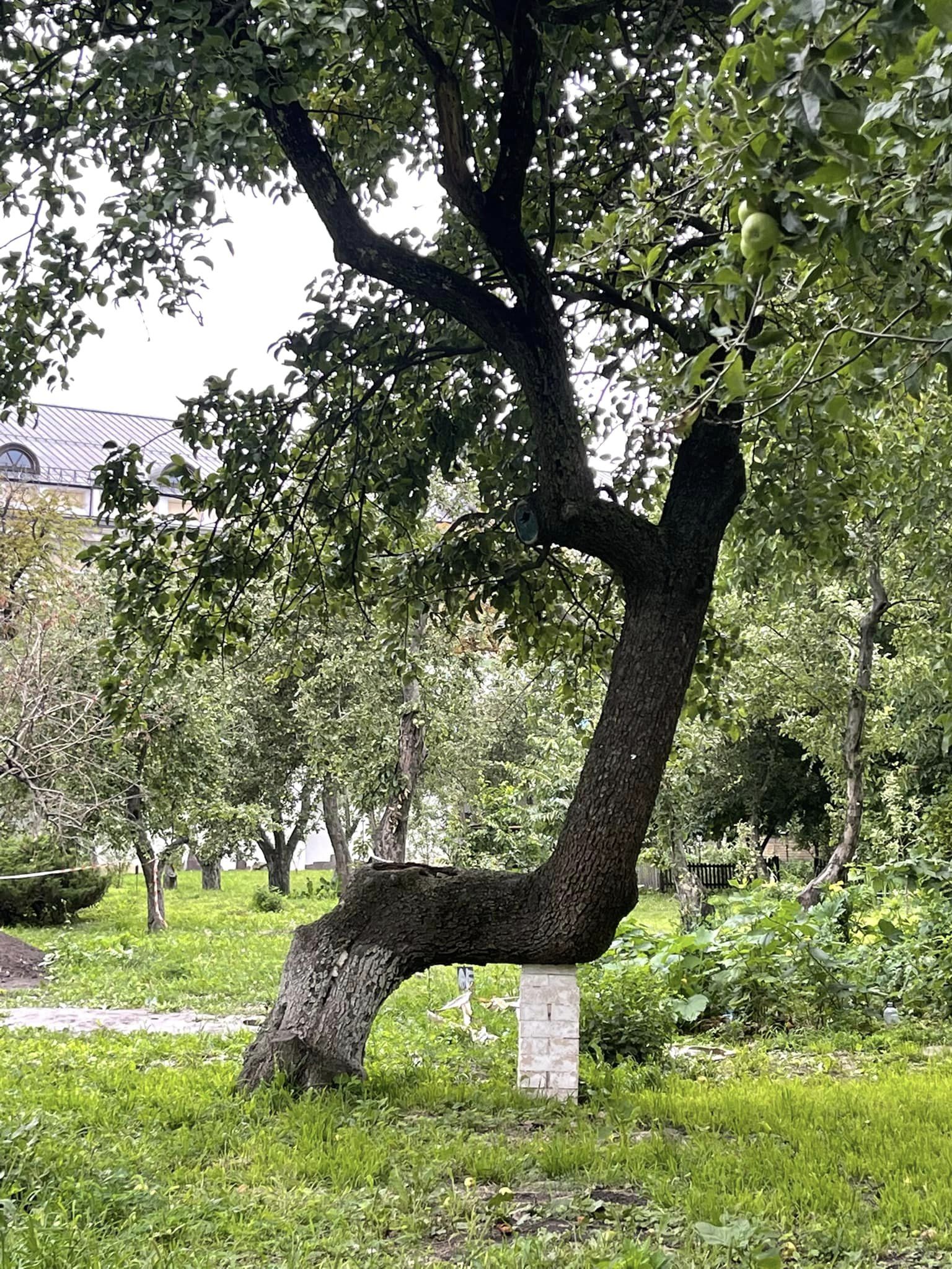 Фото: Олексій Король Фото: Олексій Король