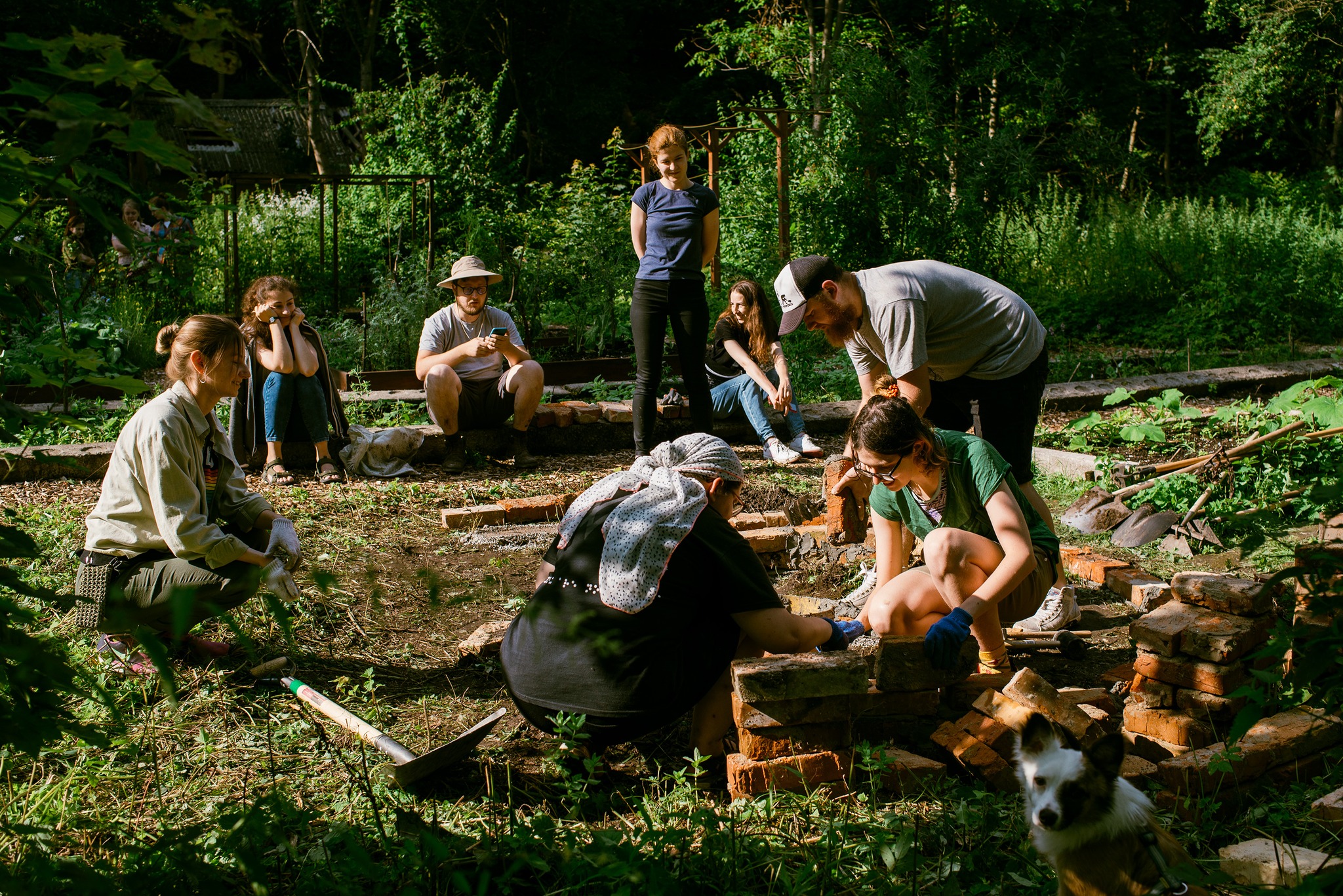 "Рассадник". Кто во Львове развивает пространство городского огородничества и садоводства