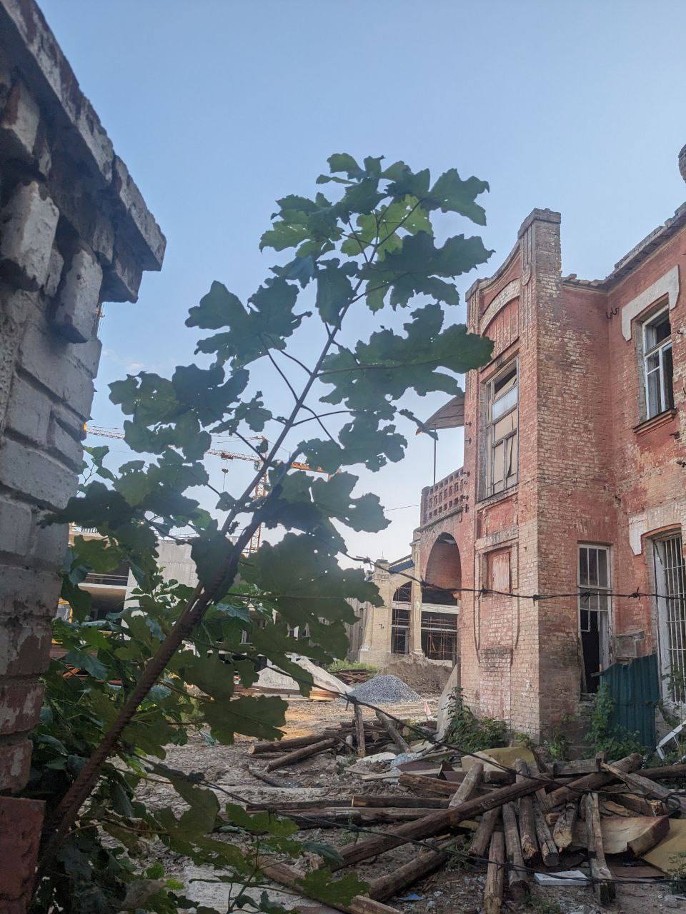 Фото: Цегла Фото: Цегла