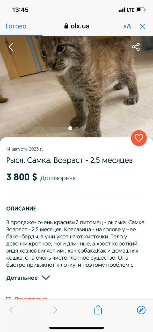 Фото: Татьяна Гончарова / Facebook Фото: Тетяна Гончарова / Facebook