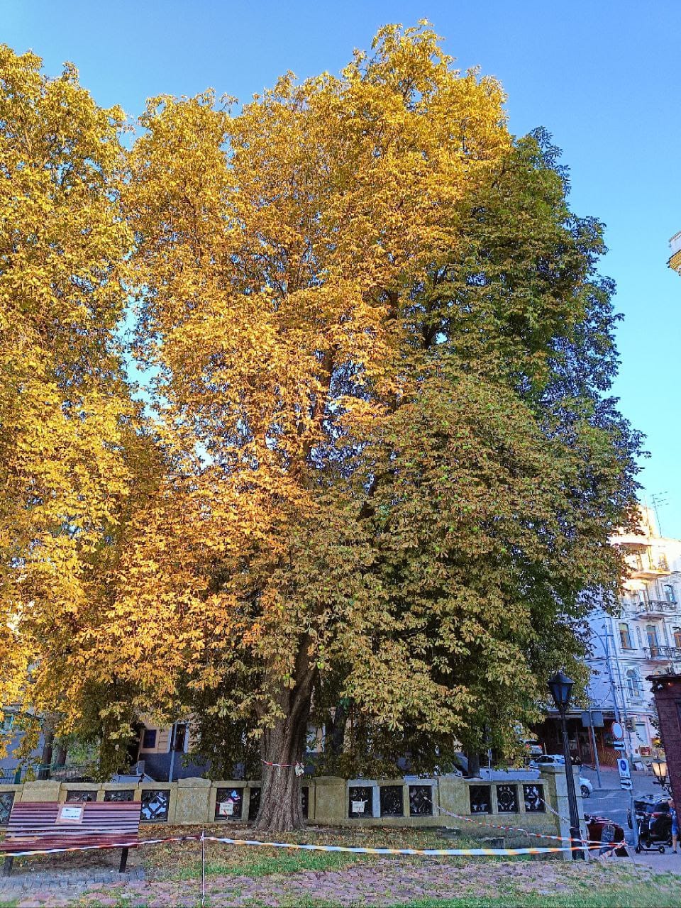 Фото: Настя Глущенко / Facebook Фото: Настя Глущенко / Facebook