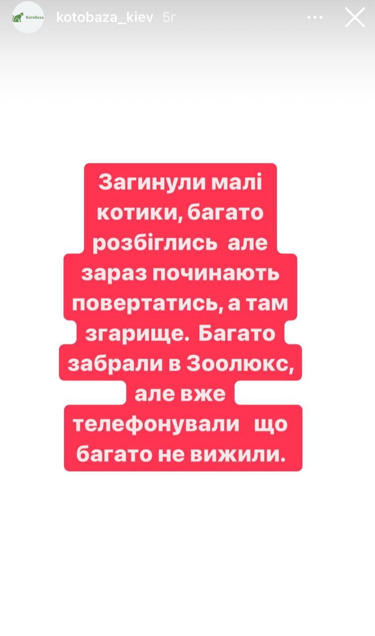 Скриншот