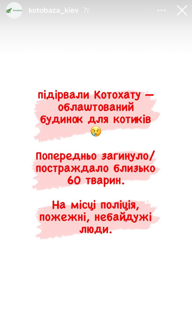 Скриншот