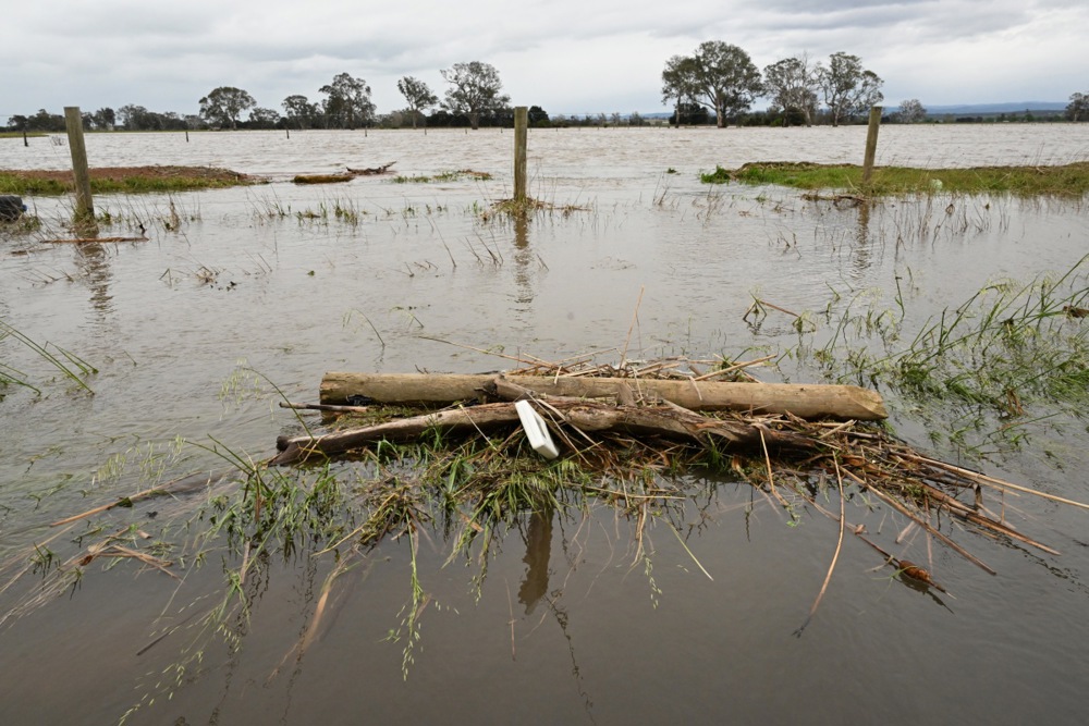 Фото: EPA