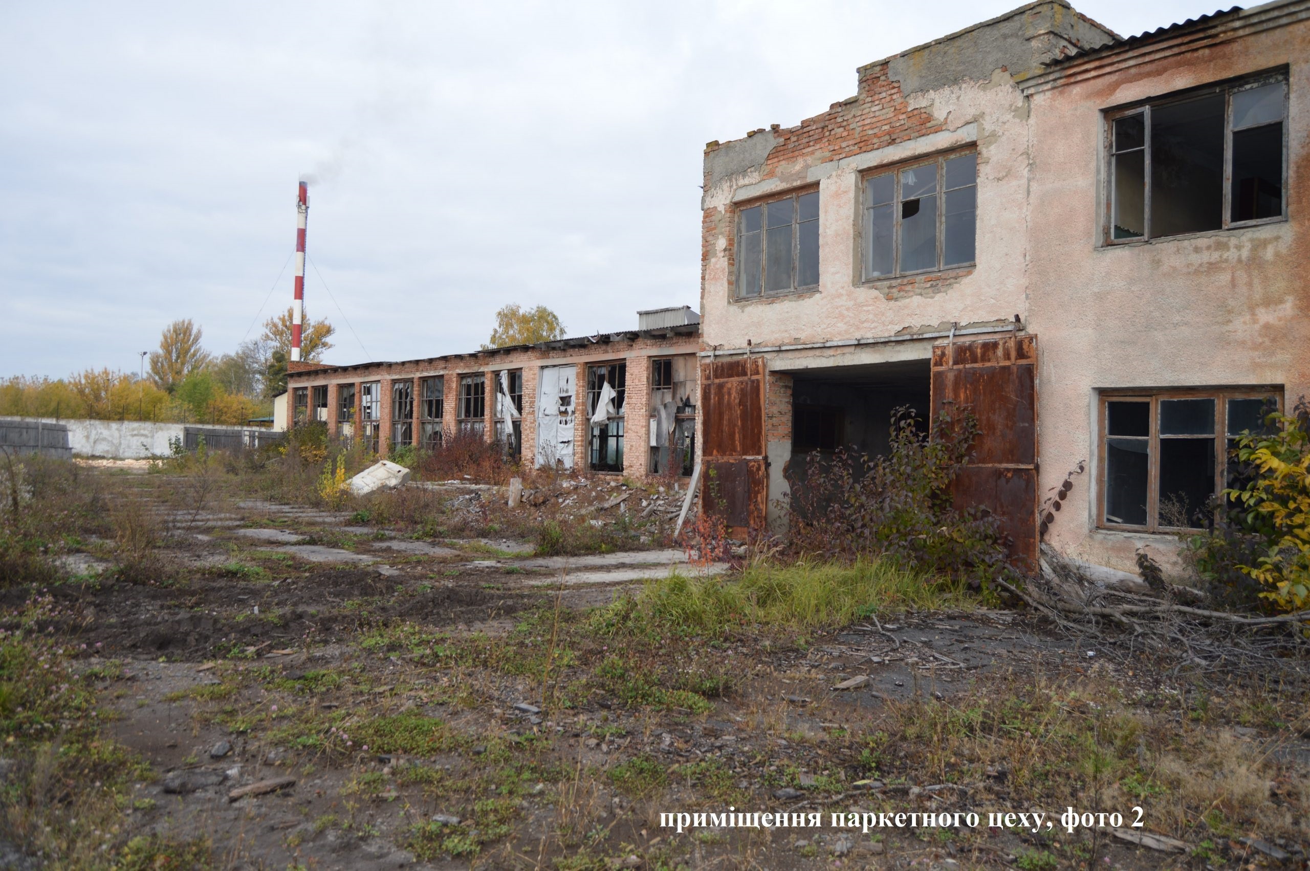 Фонд держмайна провів аукціон з продажу пилорами на Волині: ціна зросла удесятеро – фото