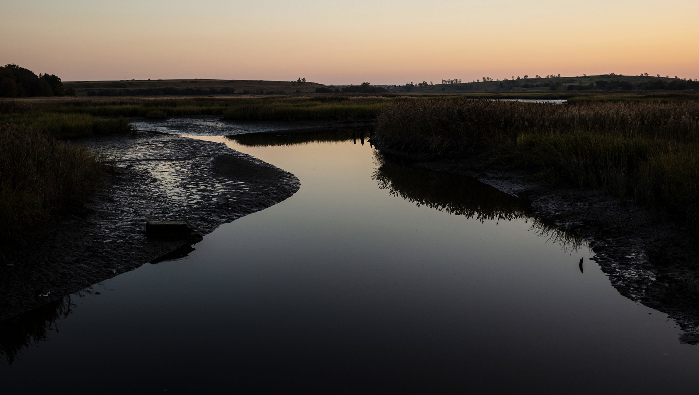 Фото: Bryan Anselm/Bloomberg Фото: Bryan Anselm/Bloomberg