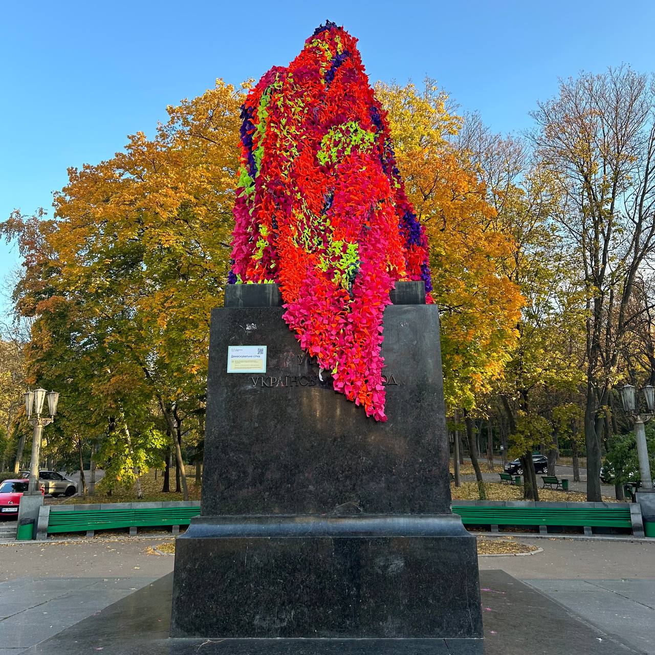 Фото: Солом’янські котики