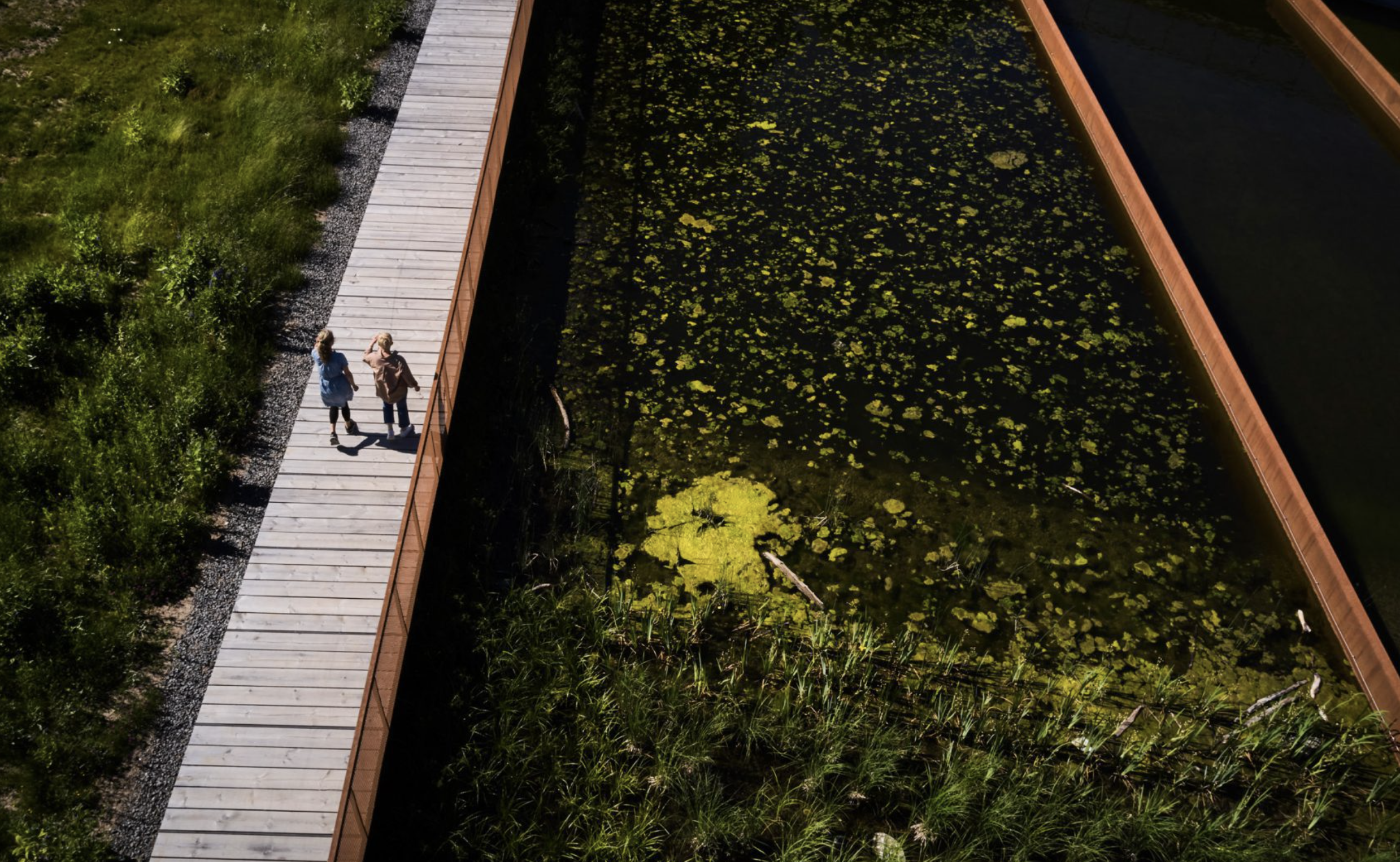 Фото: Måns Berg