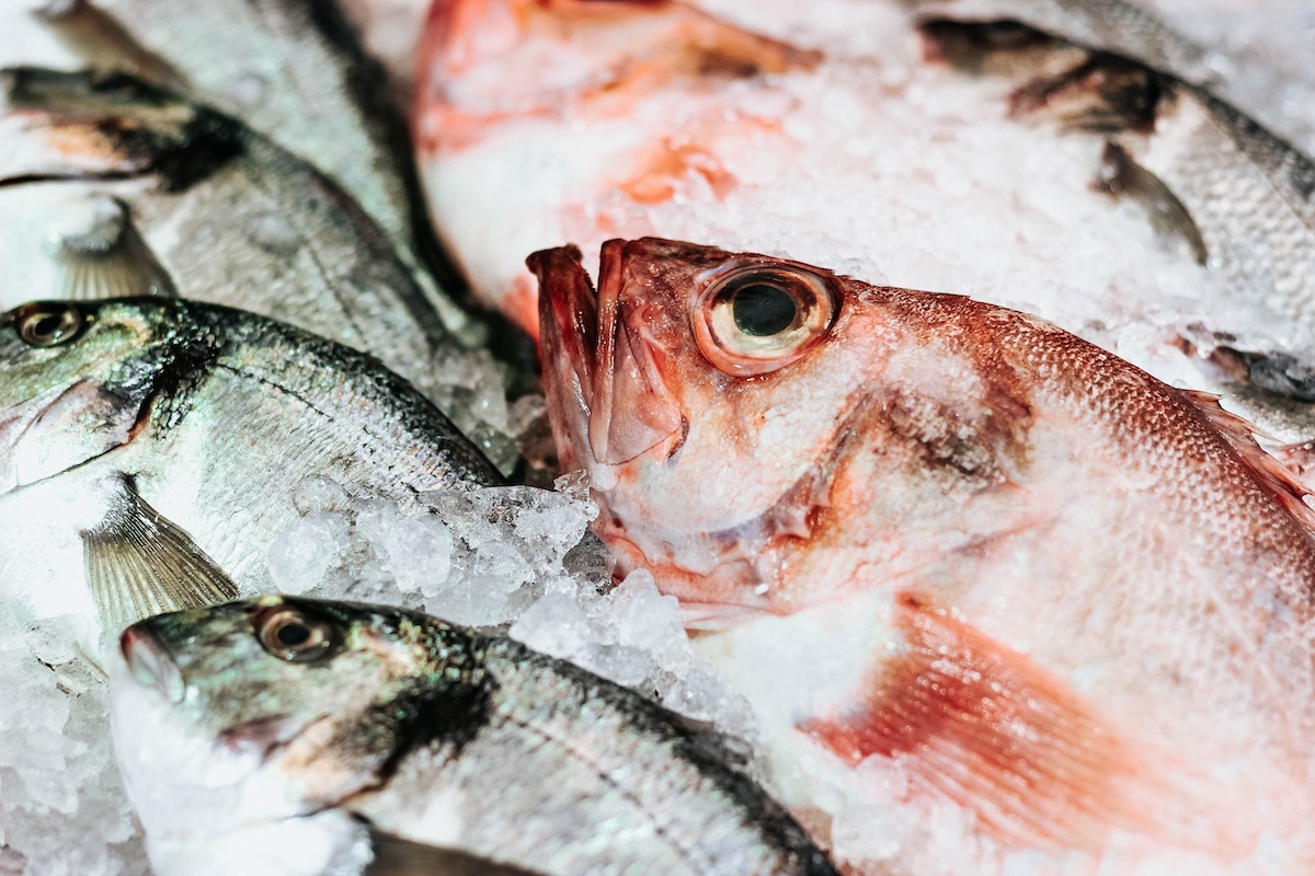 Напівпрозорі креветки та пружна риба. Як обрати свіжі морепродукти
