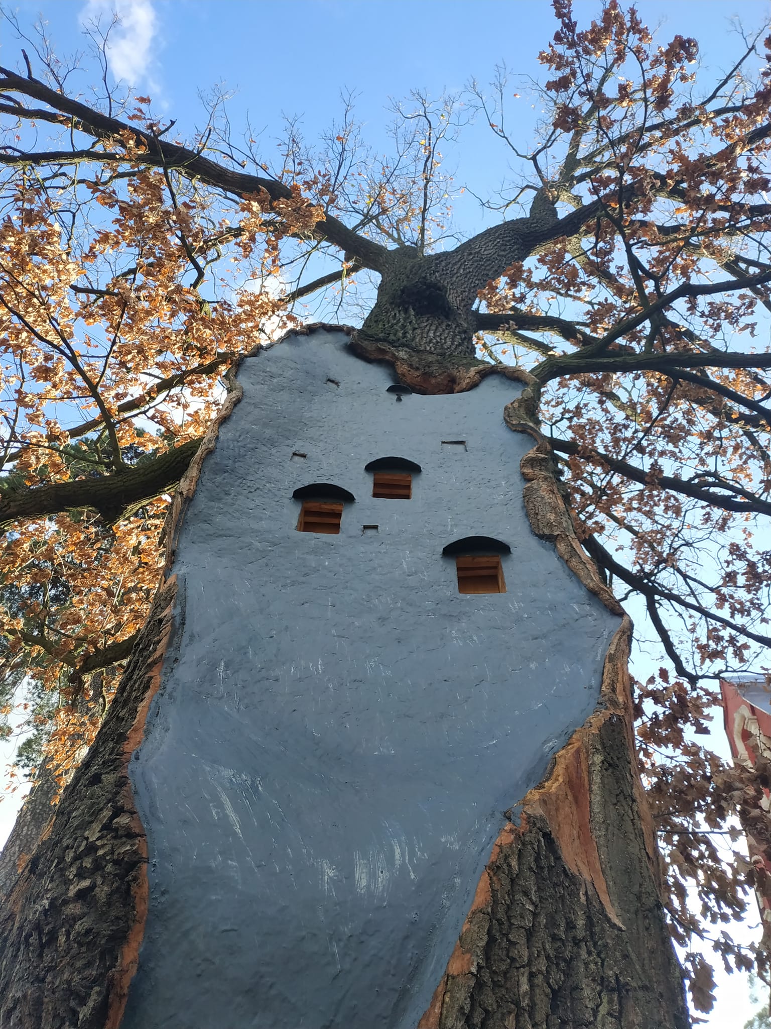 Фото: Володимир Ветроградський