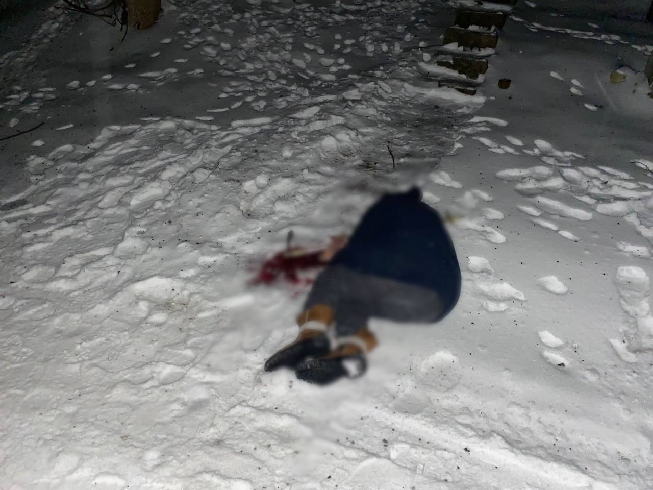 Фото: Олег Синєгубов