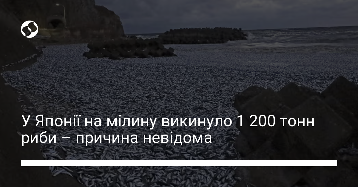 У Японії на мілину викинуло 1 200 тонн риби – причина невідома | Новини ...