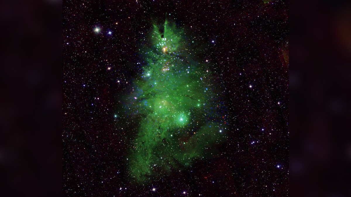 NASA показало космическую "новогоднюю елку" – фото