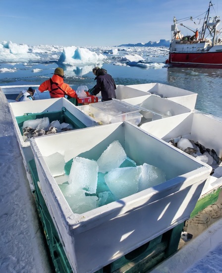 "Найчистіша вода на Землі". ОАЕ почала імпортувати лід для барів з Гренландії – фото