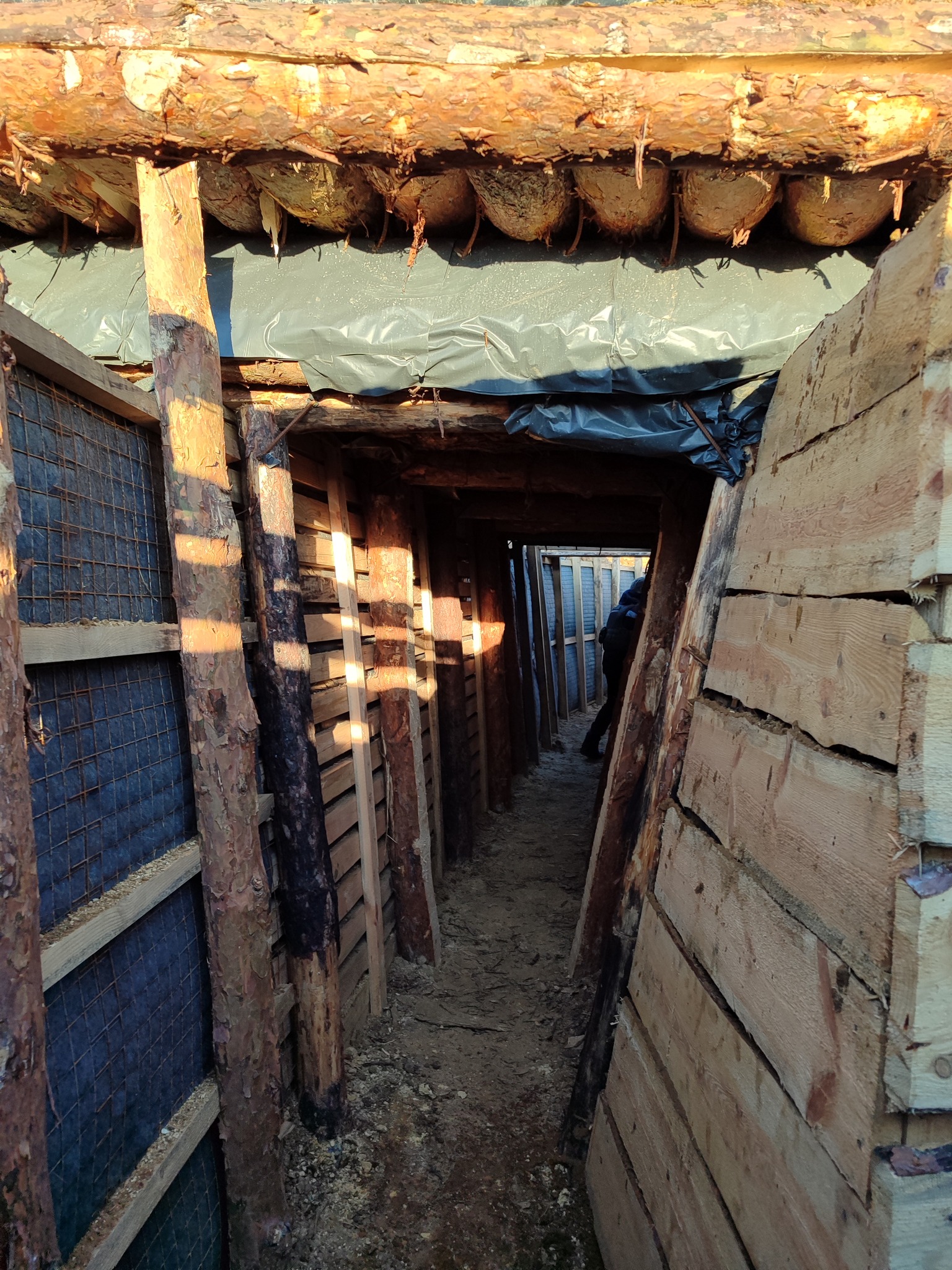 Фото: Дмитро Лиховій