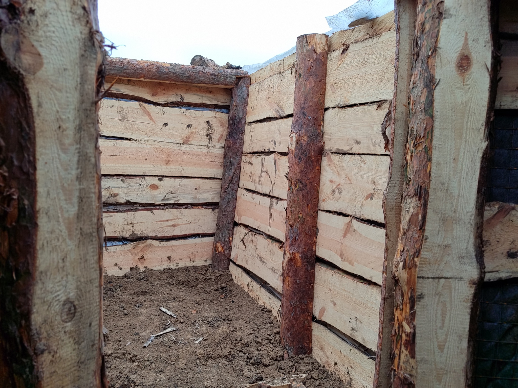 Фото: Дмитро Лиховій