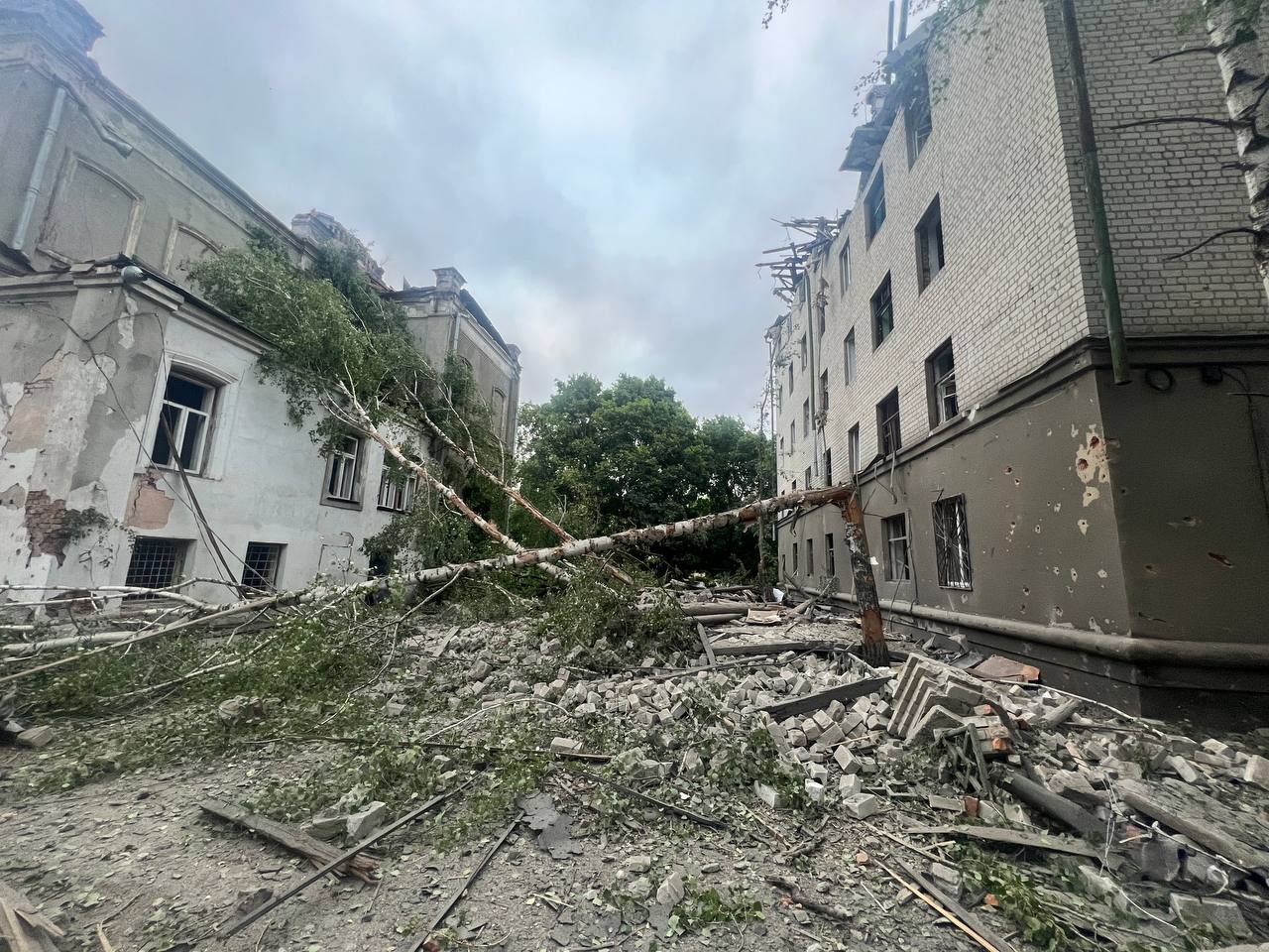 Фото: Олег Синєгубов