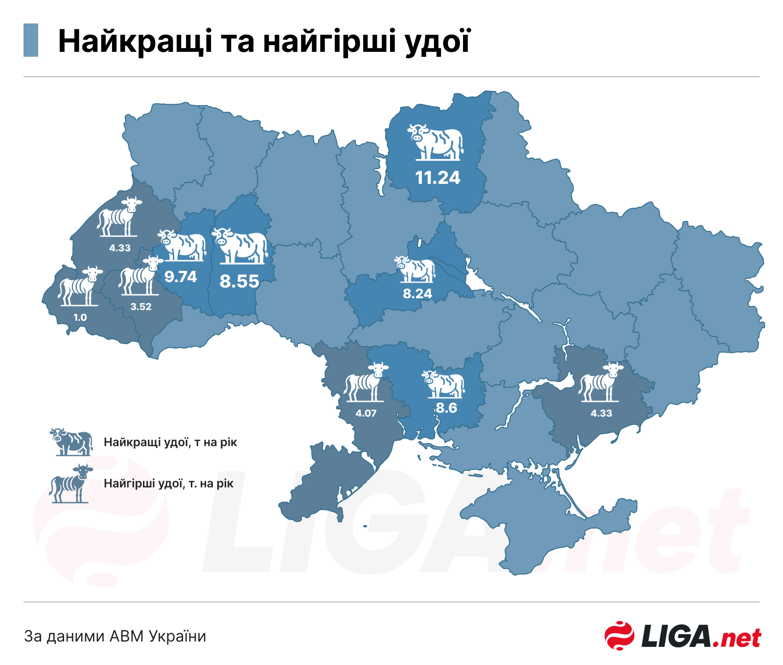Чемпионы Европы. Где в Украине лучшие молочные фермы