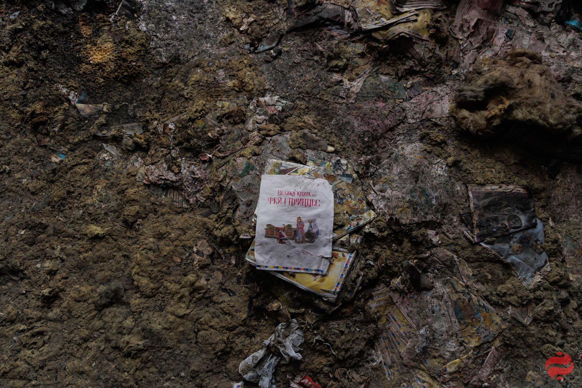 Частина книги серед обгорілих залишків (фото: Yakiv Liashenko/LIGA.net)